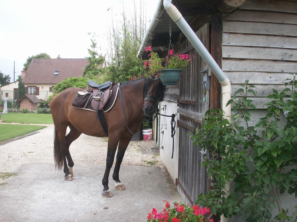 Le Clos Des Perraudieres Cour-Cheverny Buitenkant foto