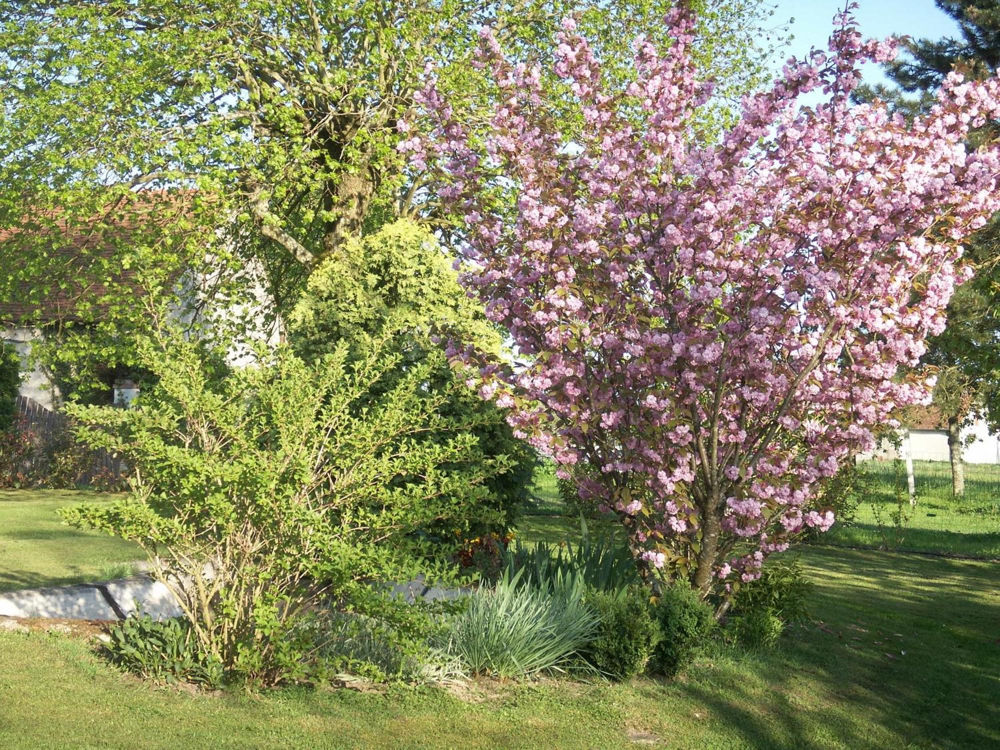 Le Clos Des Perraudieres Cour-Cheverny Buitenkant foto