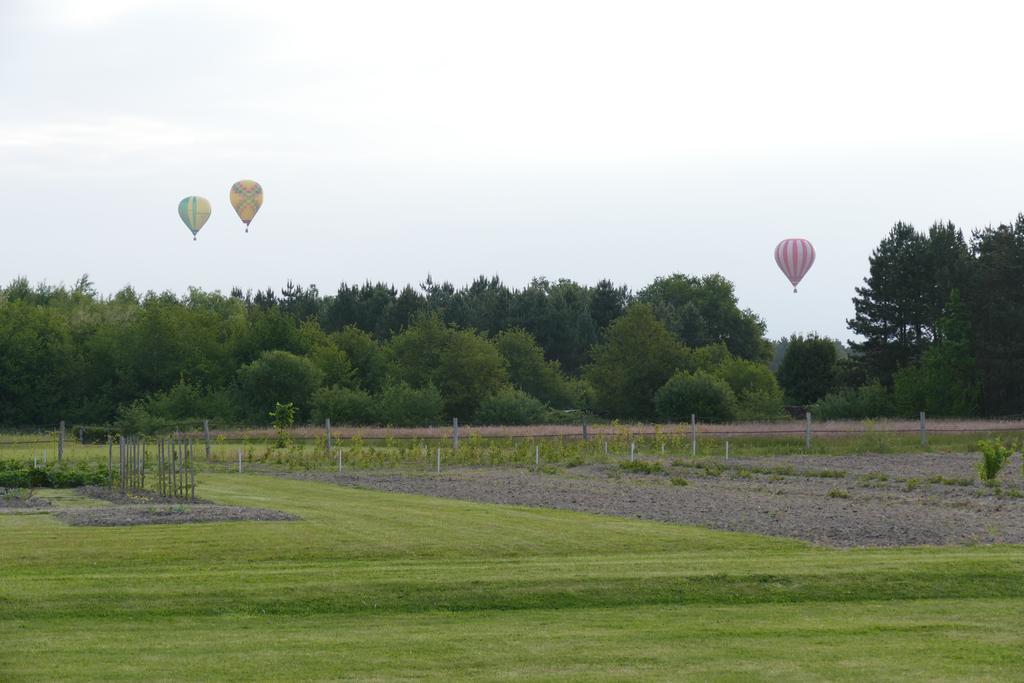 Le Clos Des Perraudieres Cour-Cheverny Buitenkant foto