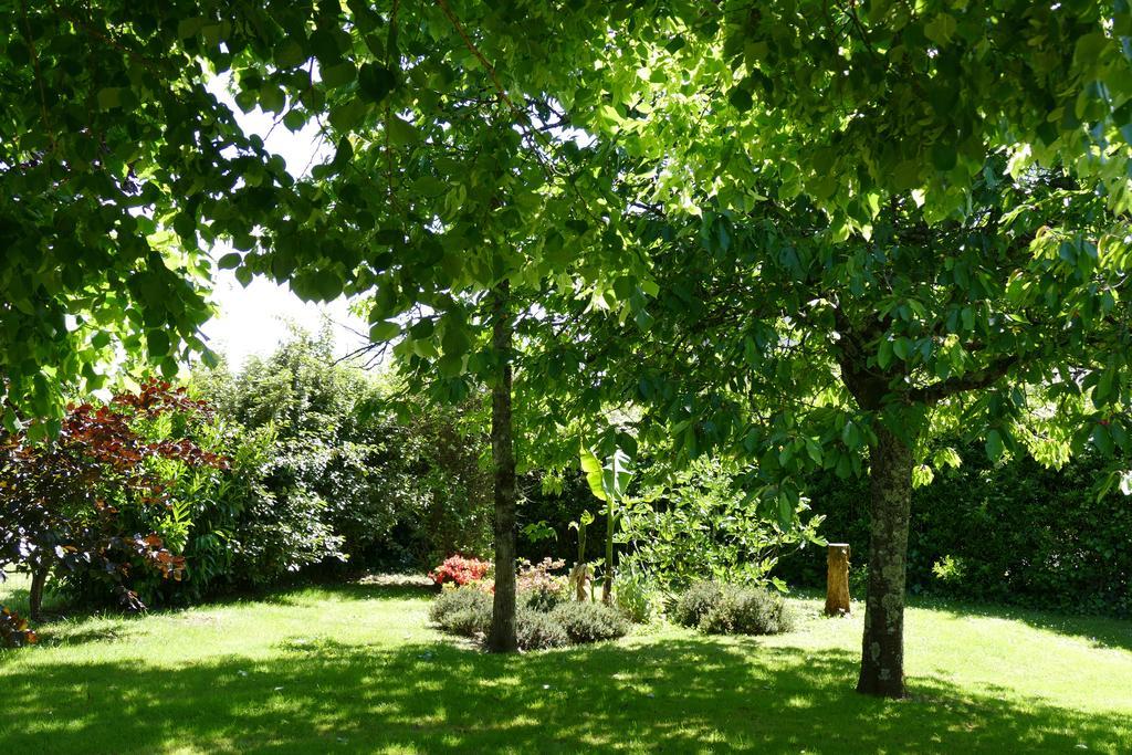 Le Clos Des Perraudieres Cour-Cheverny Buitenkant foto
