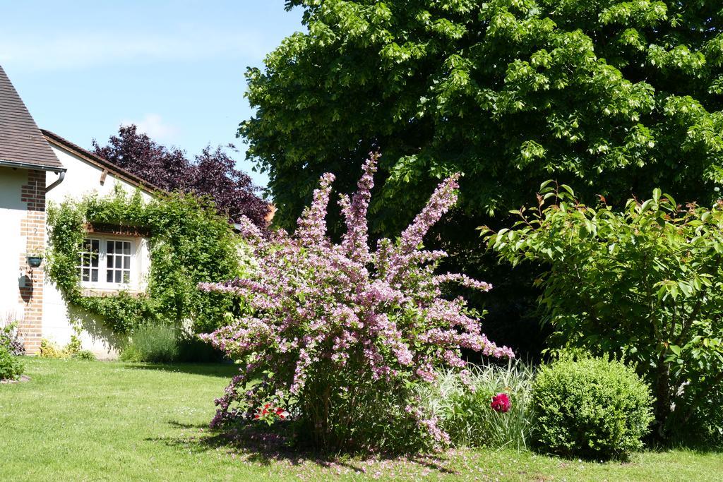 Le Clos Des Perraudieres Cour-Cheverny Buitenkant foto