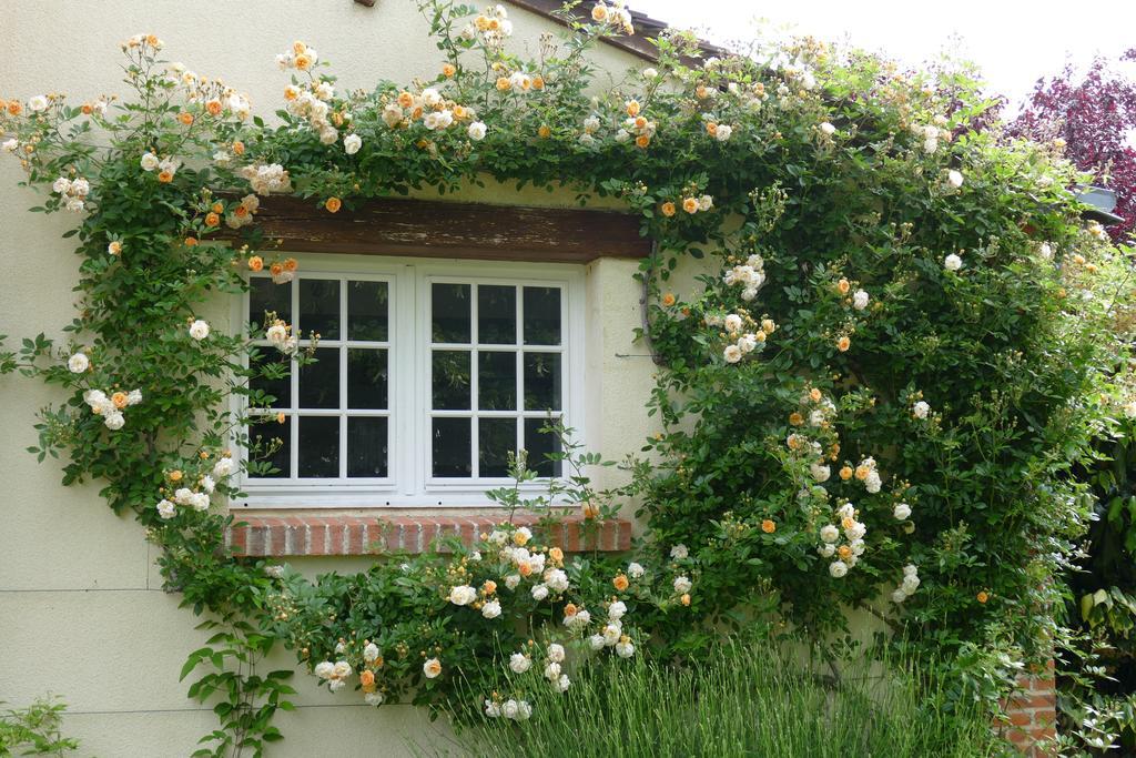 Le Clos Des Perraudieres Cour-Cheverny Buitenkant foto